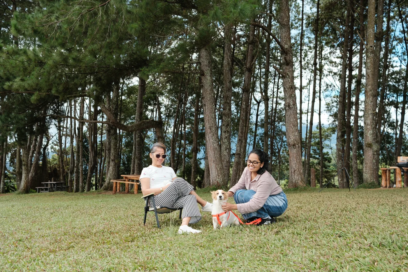 Guests relaxing on the lawn at Flow Forest Farm