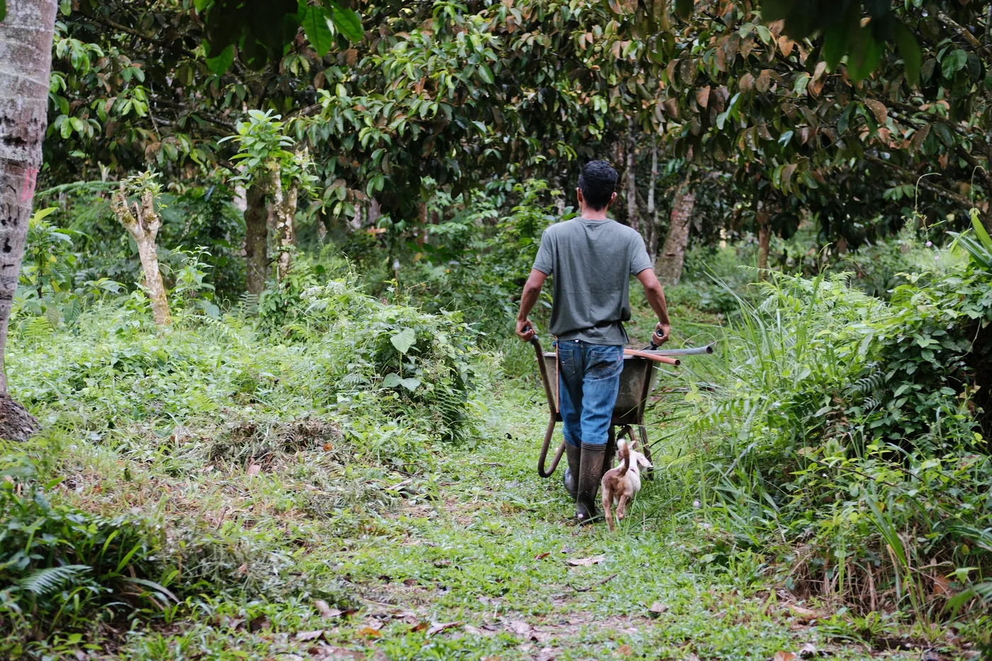 Farmer on forest trail surrounded by forest materials