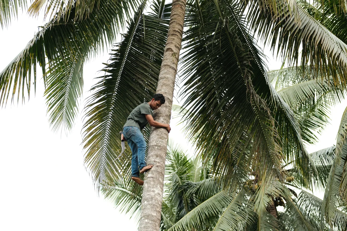 Man holding two coconuts, smiling