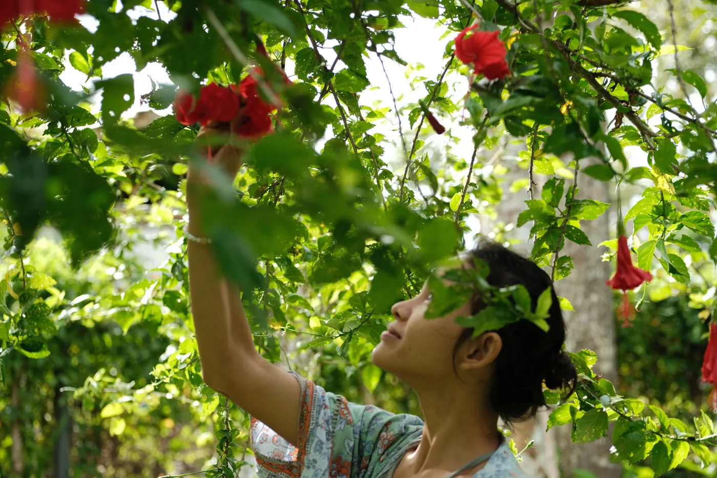 Woman framed by hibiscus, peaceful