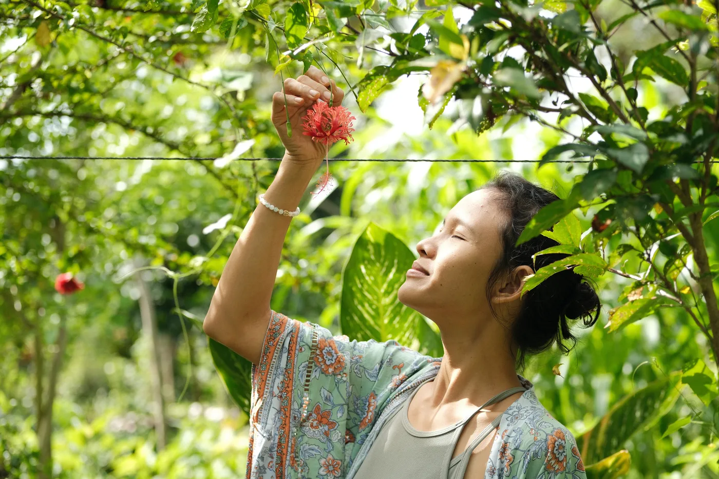 Serene moment among hibiscus at Flow Forest Farm
